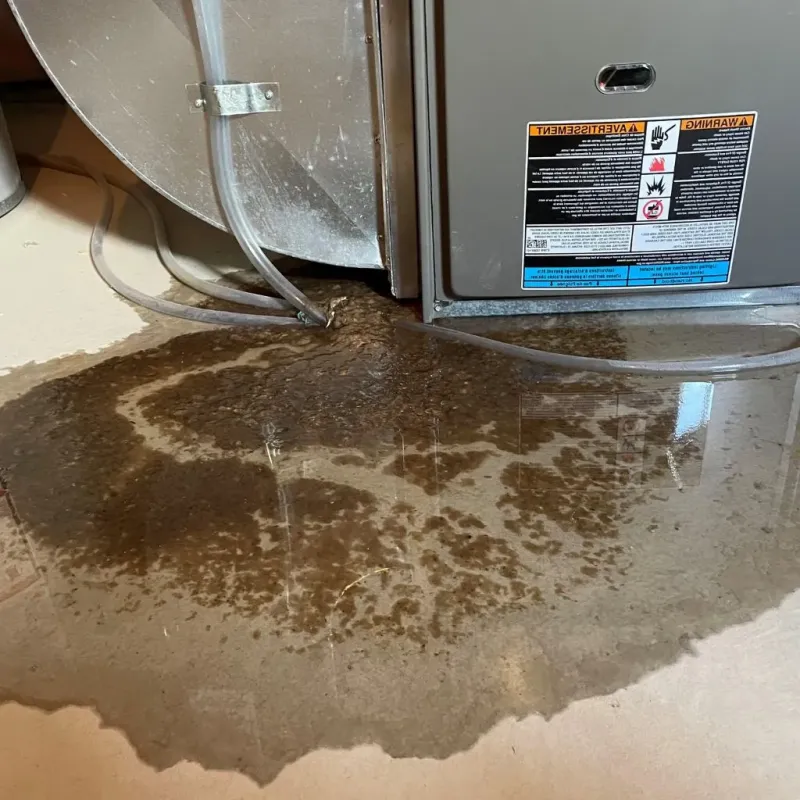 Pipe Burst and Leak Restoration in Harper, KS