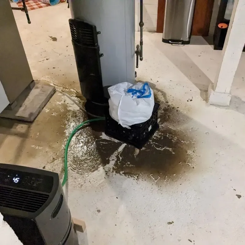 Sewage Backup Cleanup Service in Harper, KS